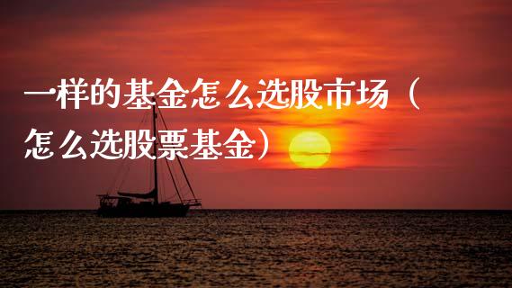 一样的基金怎么选股市场（怎么选股票基金）_https://www.qdlswl.com_基金_第1张