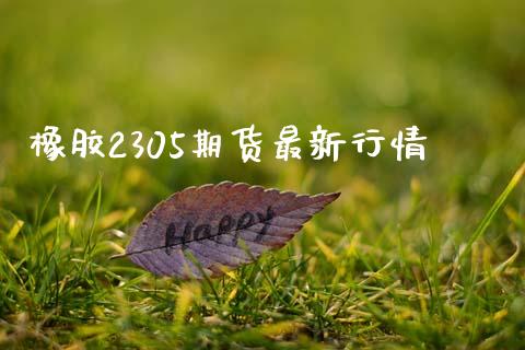 橡胶2305期货最新行情_https://www.qdlswl.com_股指_第1张