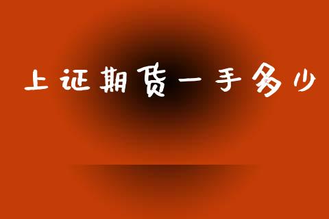 上证期货一手多少_https://www.qdlswl.com_期货_第1张