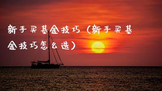 新手买基金技巧（新手买基金技巧怎么选）_https://www.qdlswl.com_基金_第1张