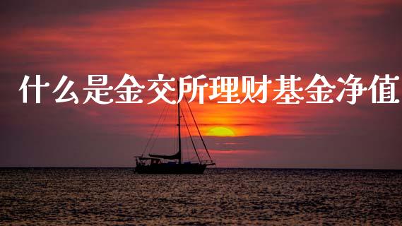 什么是金交所理财基金净值_https://www.qdlswl.com_理财_第1张