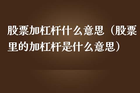 股票加杠杆什么意思（股票里的加杠杆是什么意思）_https://www.qdlswl.com_外盘_第1张