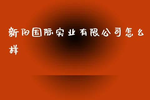 新阳国际实业有限公司怎么样_https://www.qdlswl.com_内盘_第1张