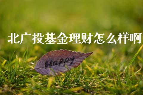 北广投基金理财怎么样啊_https://www.qdlswl.com_理财_第1张