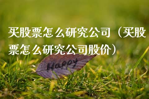 买股票怎么研究公司（买股票怎么研究公司股价）_https://www.qdlswl.com_内盘_第1张