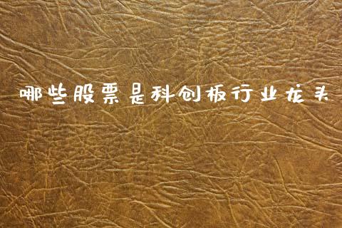 哪些股票是科创板行业龙头_https://www.qdlswl.com_直播_第1张