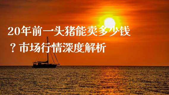 20年前一头猪能卖多少钱？市场行情深度解析_https://www.qdlswl.com_基金_第1张