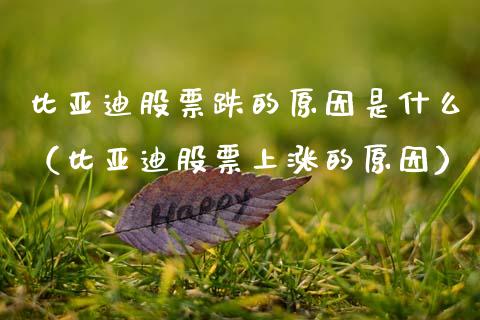 比亚迪股票跌的原因是什么（比亚迪股票上涨的原因）_https://www.qdlswl.com_外盘_第1张