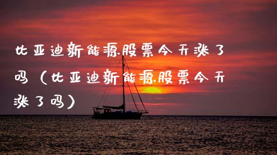 比亚迪新能源股票今天涨了吗（比亚迪新能源股票今天涨了吗）_https://www.qdlswl.com_股票_第1张