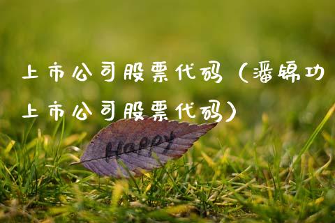 上市公司股票代码（潘锦功上市公司股票代码）_https://www.qdlswl.com_外盘_第1张