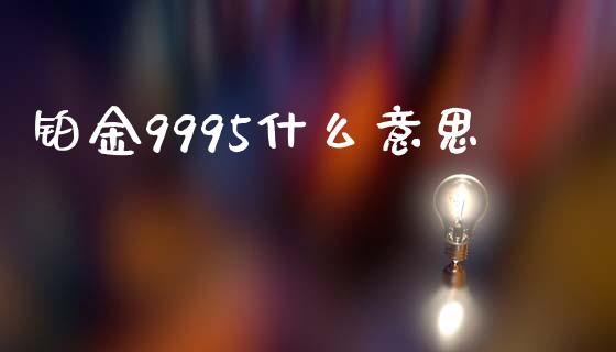 铂金9995什么意思_https://www.qdlswl.com_理财_第1张