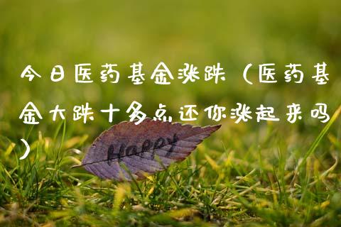 今日医药基金涨跌（医药基金大跌十多点还你涨起来吗）_https://www.qdlswl.com_基金_第1张