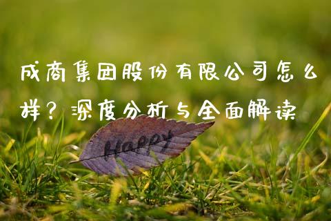 成商集团股份有限公司怎么样？深度分析与全面解读_https://www.qdlswl.com_理财_第1张