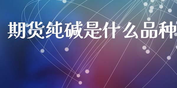 期货纯碱是什么品种_https://www.qdlswl.com_期货_第1张