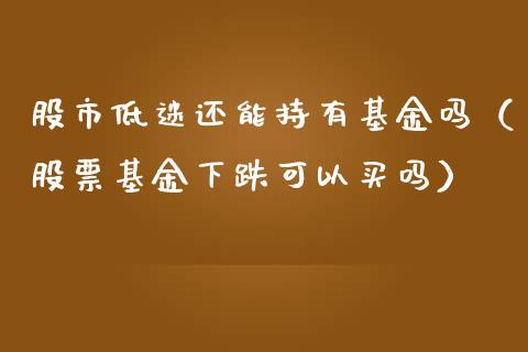 股市低迷还能持有基金吗（股票基金下跌可以买吗）_https://www.qdlswl.com_基金_第1张