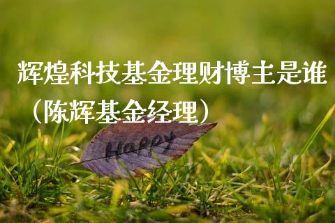 辉煌科技基金理财博主是谁（陈辉基金经理）_https://www.qdlswl.com_基金_第1张