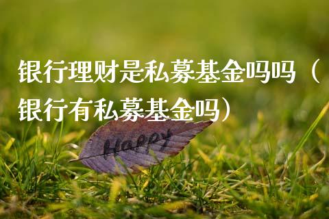 银行理财是私募基金吗吗（银行有私募基金吗）_https://www.qdlswl.com_基金_第1张