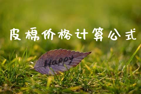 皮棉价格计算公式_https://www.qdlswl.com_股指_第1张