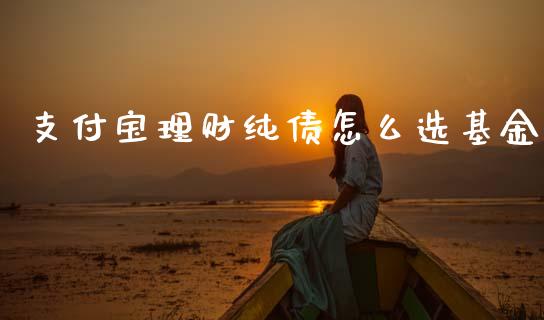 支付宝理财纯债怎么选基金_https://www.qdlswl.com_理财_第1张