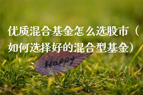 优质混合基金怎么选股市（如何选择好的混合型基金）_https://www.qdlswl.com_基金_第1张