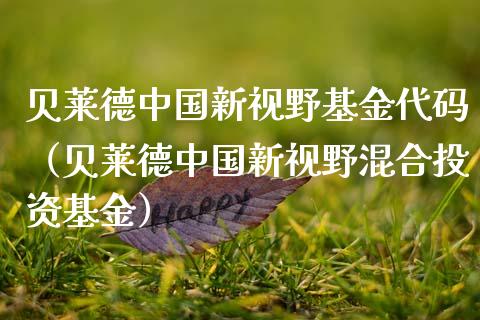 贝莱德中国新视野基金代码（贝莱德中国新视野混合投资基金）_https://www.qdlswl.com_理财_第1张
