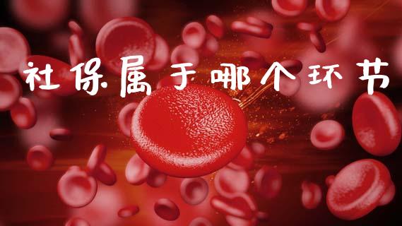 社保属于哪个环节_https://www.qdlswl.com_外盘_第1张