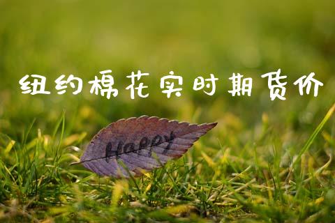纽约棉花实时期货价_https://www.qdlswl.com_股指_第1张