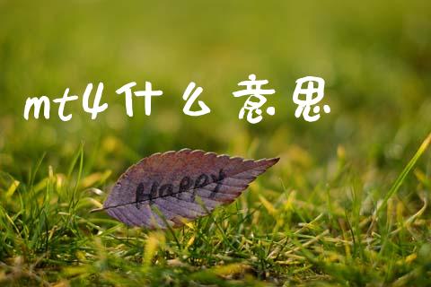 mt4什么意思_https://www.qdlswl.com_基金_第1张