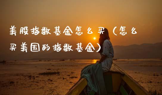 美股指数基金怎么买（怎么买美国的指数基金）_https://www.qdlswl.com_理财_第1张