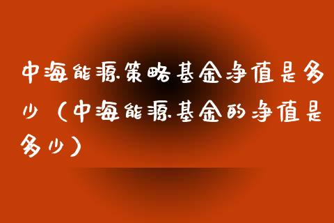 中海能源策略基金净值是多少（中海能源基金的净值是多少）_https://www.qdlswl.com_基金_第1张
