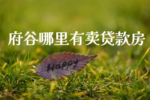 府谷哪里有卖贷款房_https://www.qdlswl.com_期货_第1张