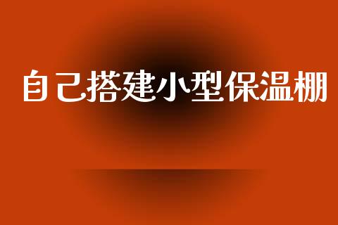 自己搭建小型保温棚_https://www.qdlswl.com_股指_第1张