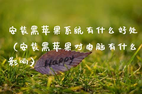 安装黑苹果系统有什么好处（安装黑苹果对电脑有什么影响）_https://www.qdlswl.com_期货_第1张