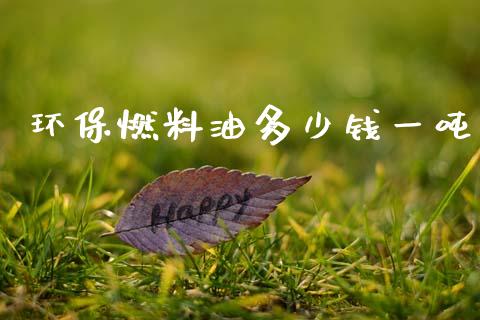 环保燃料油多少钱一吨_https://www.qdlswl.com_股指_第1张