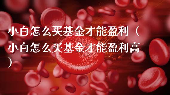 小白怎么买基金才能盈利（小白怎么买基金才能盈利高）_https://www.qdlswl.com_理财_第1张