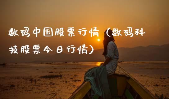 数码中国股票行情（数码科技股票今日行情）_https://www.qdlswl.com_股票_第1张
