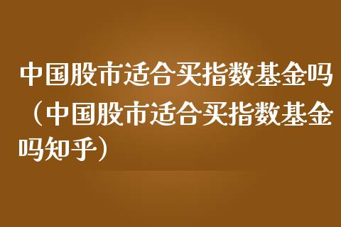中国股市适合买指数基金吗（中国股市适合买指数基金吗知乎）_https://www.qdlswl.com_理财_第1张