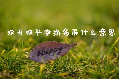 双开双平空换多屏什么意思_https://www.qdlswl.com_期货_第1张