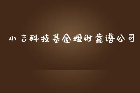 小吉科技基金理财靠谱公司_https://www.qdlswl.com_基金_第1张
