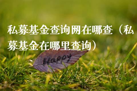 私募基金查询网在哪查（私募基金在哪里查询）_https://www.qdlswl.com_基金_第1张