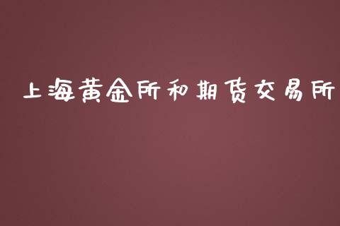 上海黄金所和期货交易所_https://www.qdlswl.com_期货_第1张