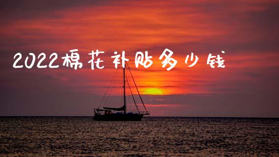 2022棉花补贴多少钱_https://www.qdlswl.com_期货_第1张
