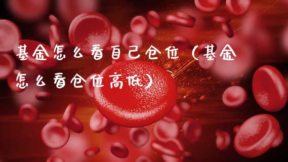 基金怎么看自己仓位（基金怎么看仓位高低）_https://www.qdlswl.com_理财_第1张