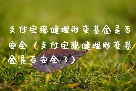 支付宝稳健理财变基金是否安全（支付宝稳健理财变基金是否安全了）_https://www.qdlswl.com_理财_第1张