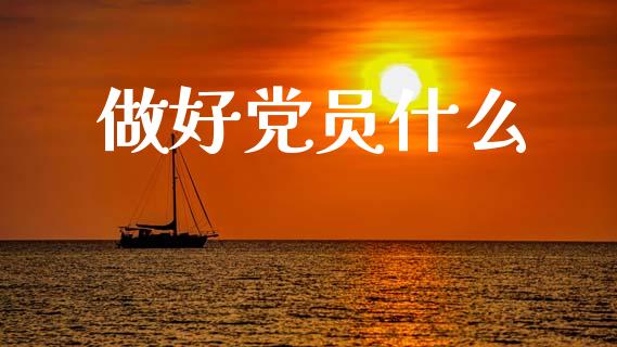 做好党员什么_https://www.qdlswl.com_理财_第1张
