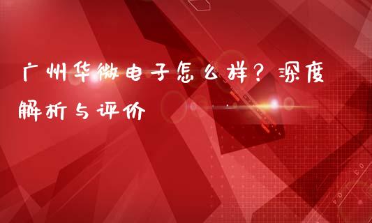 广州华微电子怎么样？深度解析与评价_https://www.qdlswl.com_期货_第1张