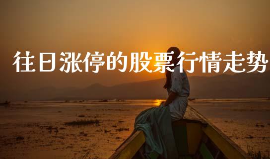 往日涨停的股票行情走势_https://www.qdlswl.com_内盘_第1张