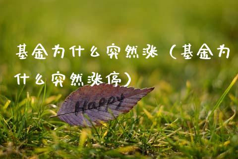 基金为什么突然涨（基金为什么突然涨停）_https://www.qdlswl.com_基金_第1张