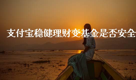 支付宝稳健理财变基金是否安全_https://www.qdlswl.com_理财_第1张