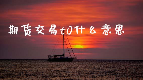 期货交易t0什么意思_https://www.qdlswl.com_理财_第1张